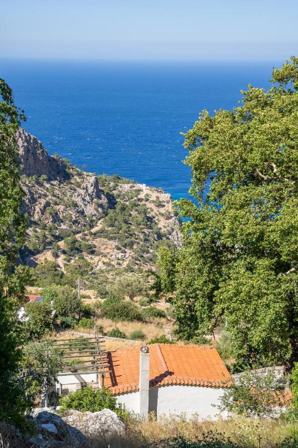 Mertonas Villa Kyra Panagia Exterior photo